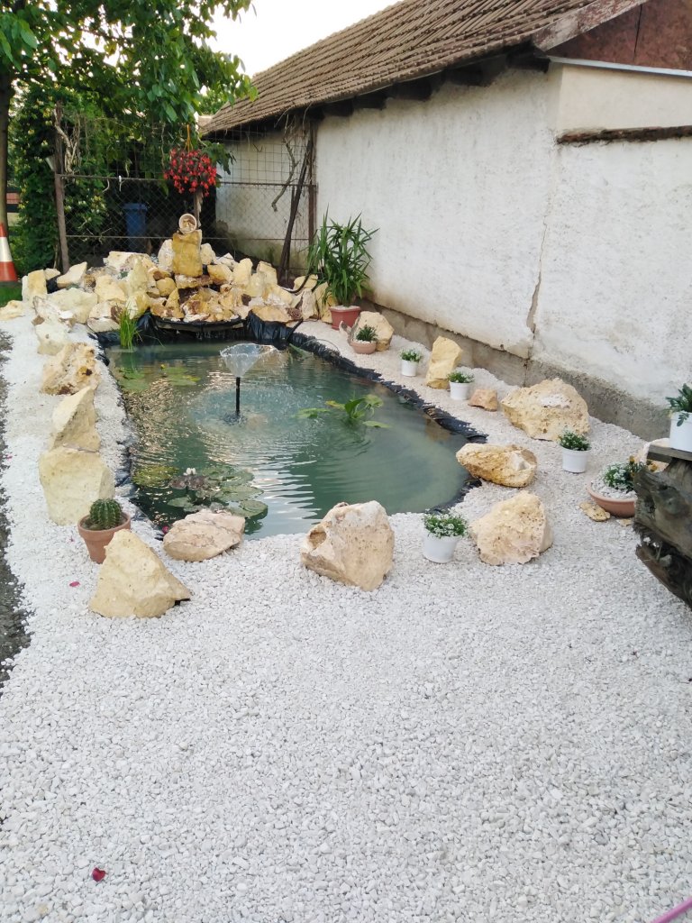 Géczi Bernadett kertje 02